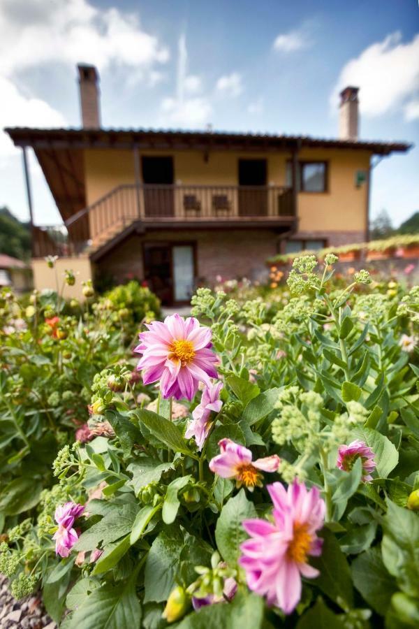 Apartamentos Rio Tabardin Llano-Con Kültér fotó